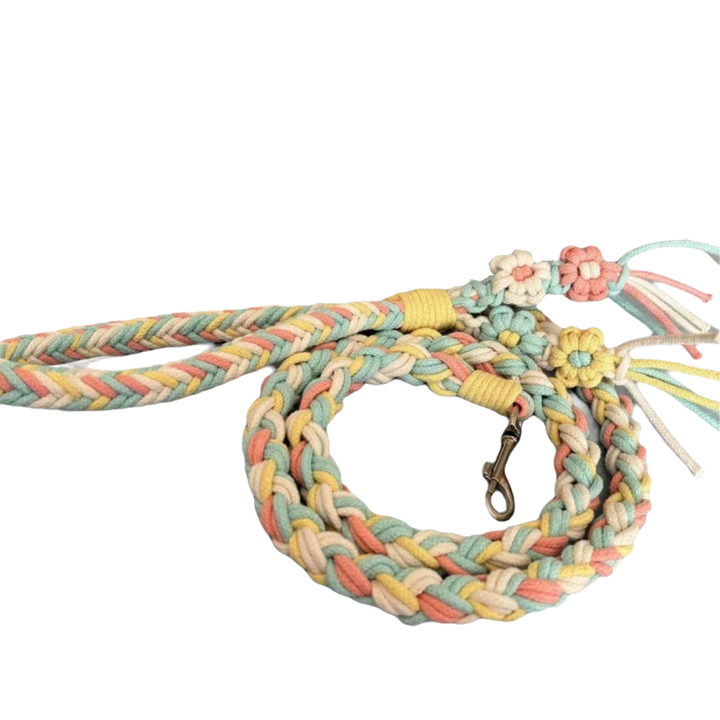 Pawscentral 犬用 コットンロープ編み込みペットリード