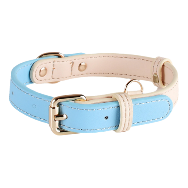 Pawscentral 犬用 スカイブルーレザー首輪