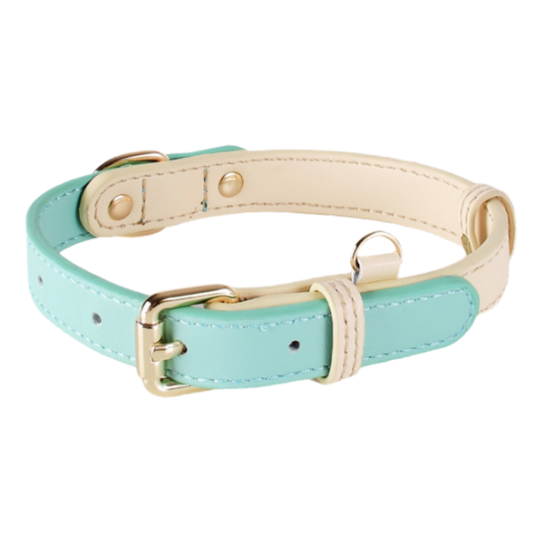 Pawscentral 犬用 ミントグリーンレザー首輪